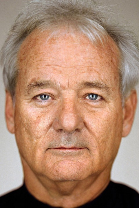 bill murray as a sleek lawyer